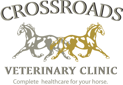 Crossroads Veterinary Clinic